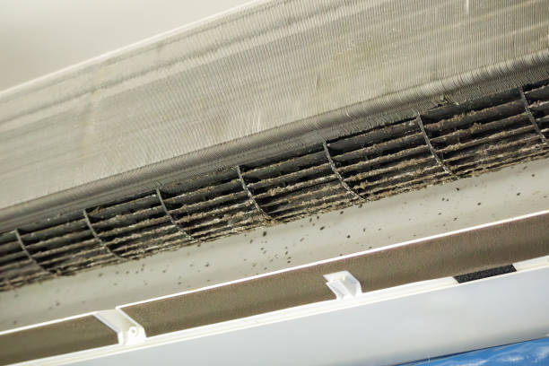 Best Professional Duct Cleaning Services  in University At Buffalo, NY